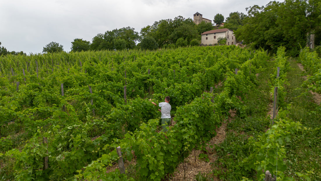 Vignerons indépendant Cantal