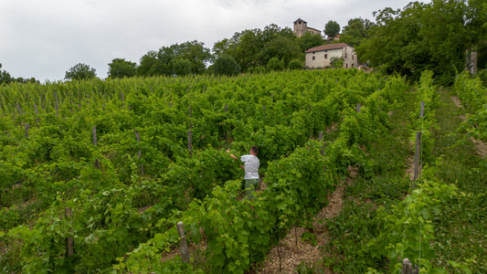 Vignerons indépendant Cantal