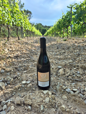 Côtes du Rhône VIllages Puyméras 2025